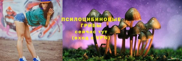 соль ск Вяземский