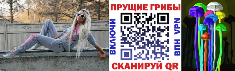 Купить  Коряжма  Псилоцибиновые грибы мицелий 